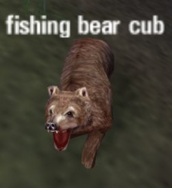 Picture of Fishing Bear Cub